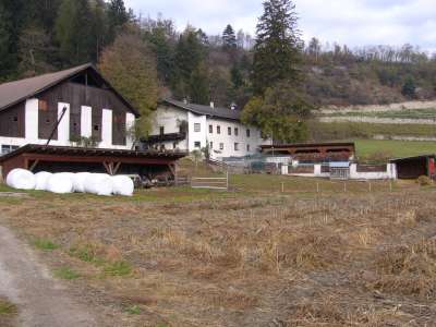 P1020779-400